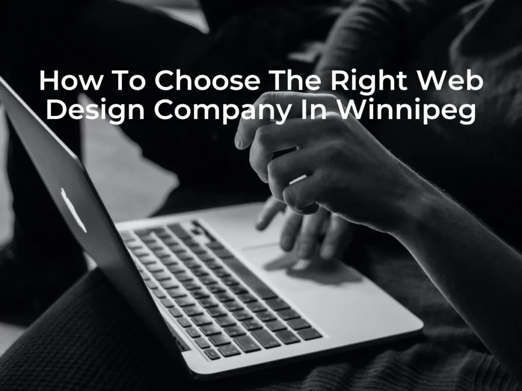 How To Choose The Right Web Design Company In Winnipeg